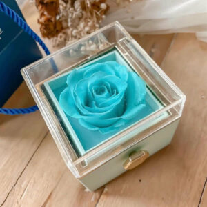 Preserved Rose Promise Ring Box