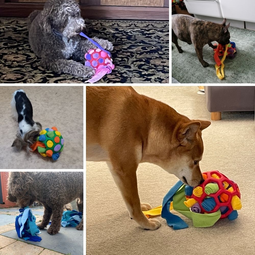 PupWhiz Snuffle Ball