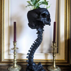 Skull Planter & Spine Stand Sets