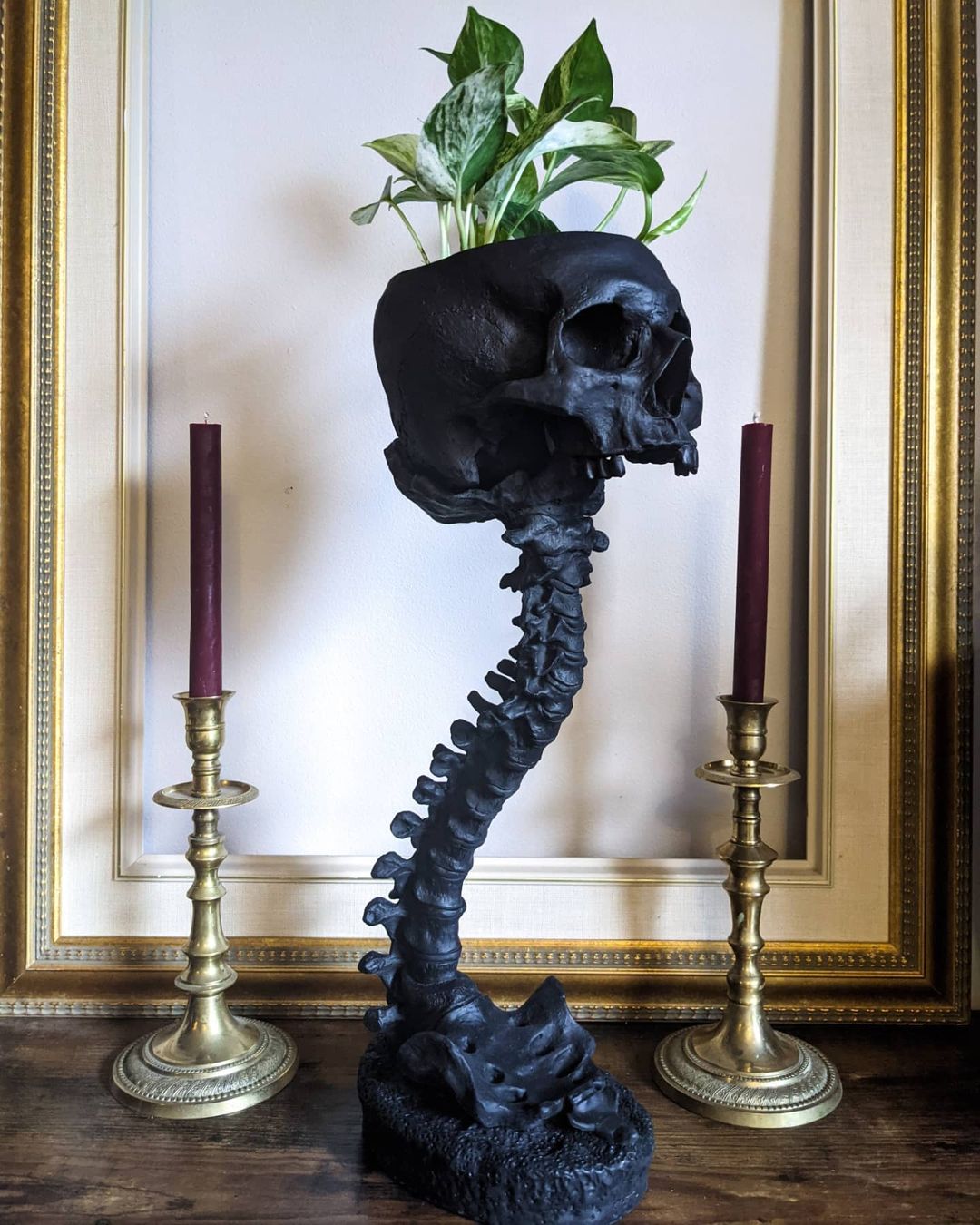 Skull Planter & Spine Stand Sets