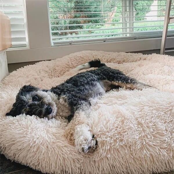 SnuggleCloud  – Anti-Anxiety Calming Dog Bed