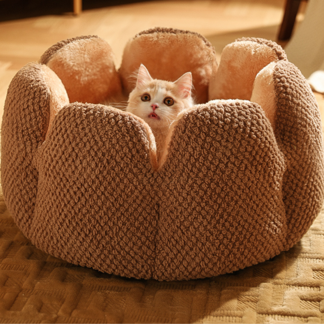 Soft Petal Sleep Pet Bed