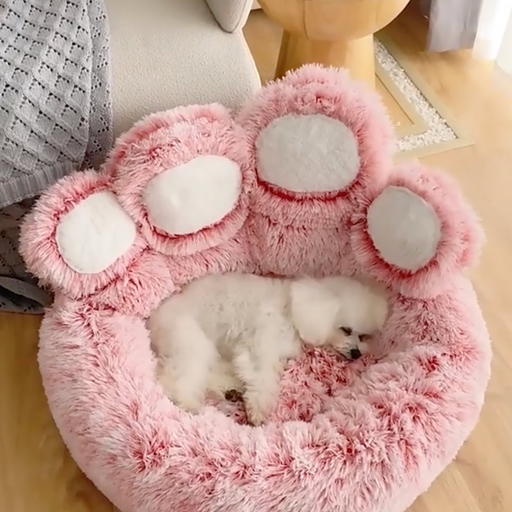 Soothing Paw Bed