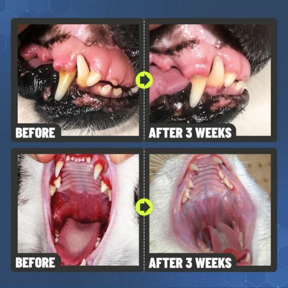 Teeth Cleaning Spray For Dogs & Cats