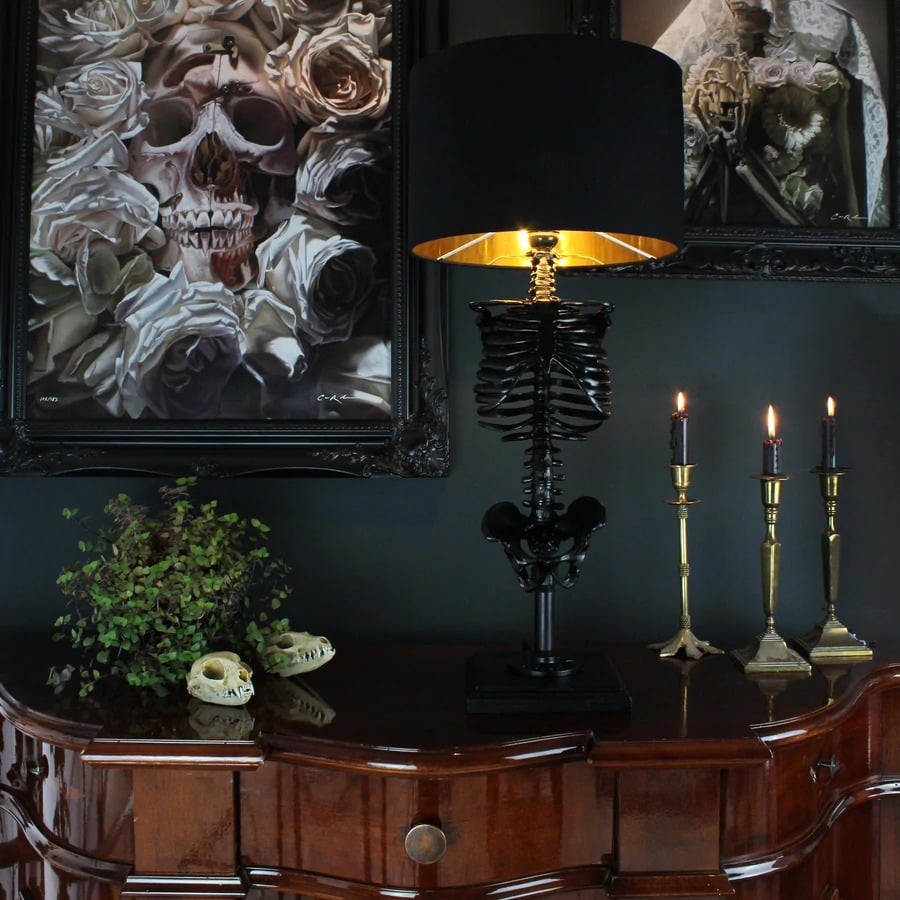 The Beautiful Skull Lamp