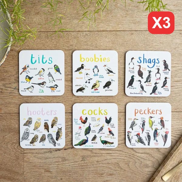 49% OFF – Set of 6 Bird Pun