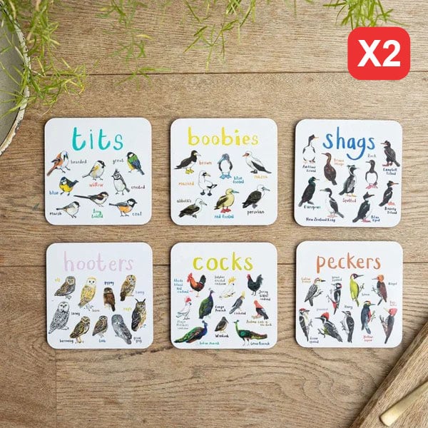 49% OFF - Set of 6 Bird Pun