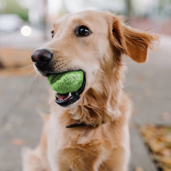 Active Rolling Ball Anti-Anxiety Automatic Moving Ball