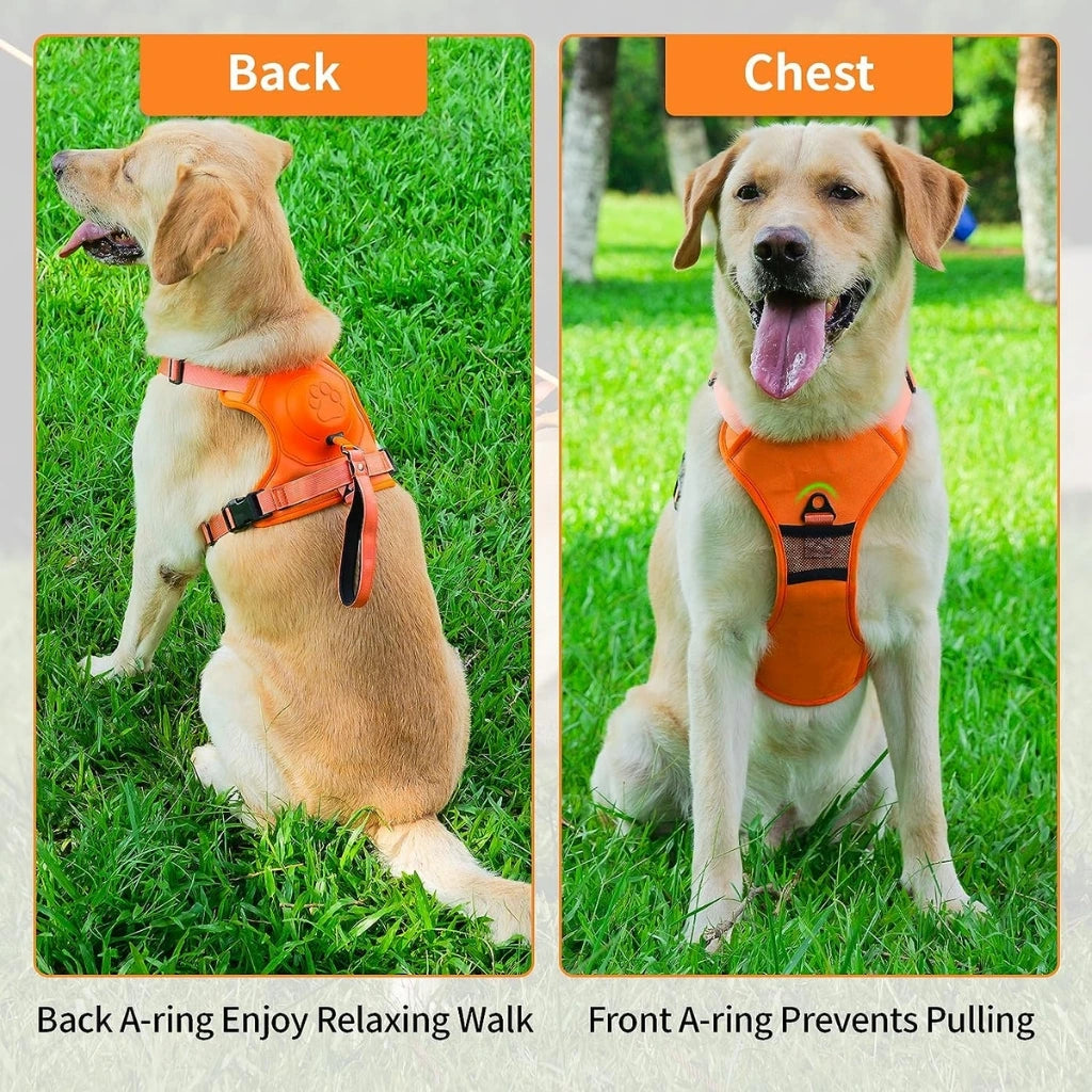 Automatic Retractable Dog Walking Set Vest Pet Harness