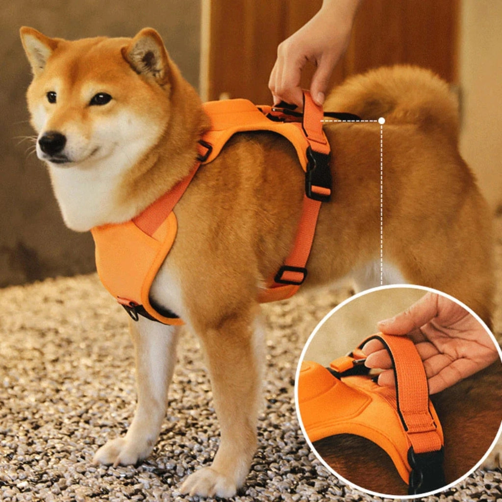 Automatic Retractable Dog Walking Set Vest Pet Harness