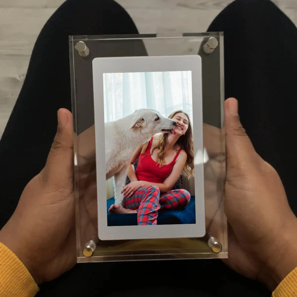 Barktopia MEMORIES VIDEO FRAME