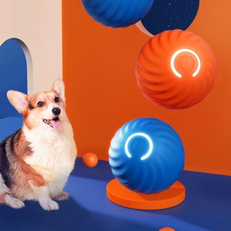 BOUNCING DOG BALL TOY