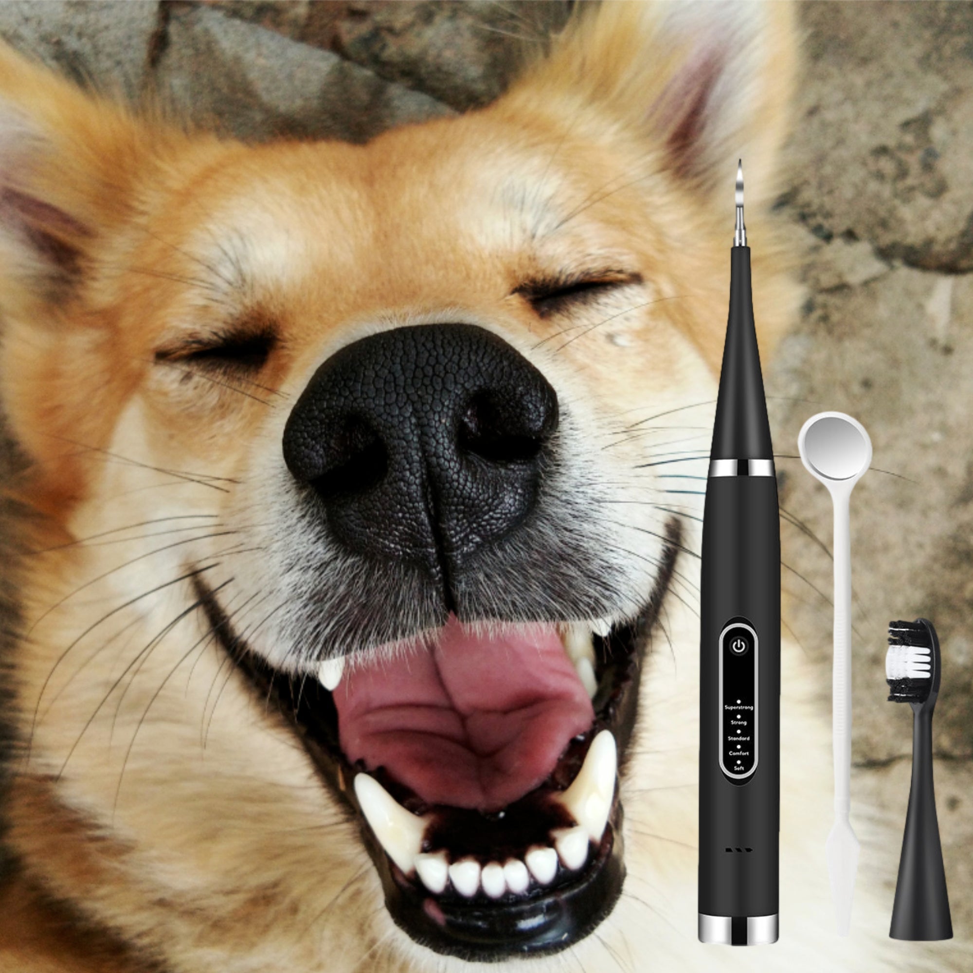 Canident - Tooth cleaner for dogs