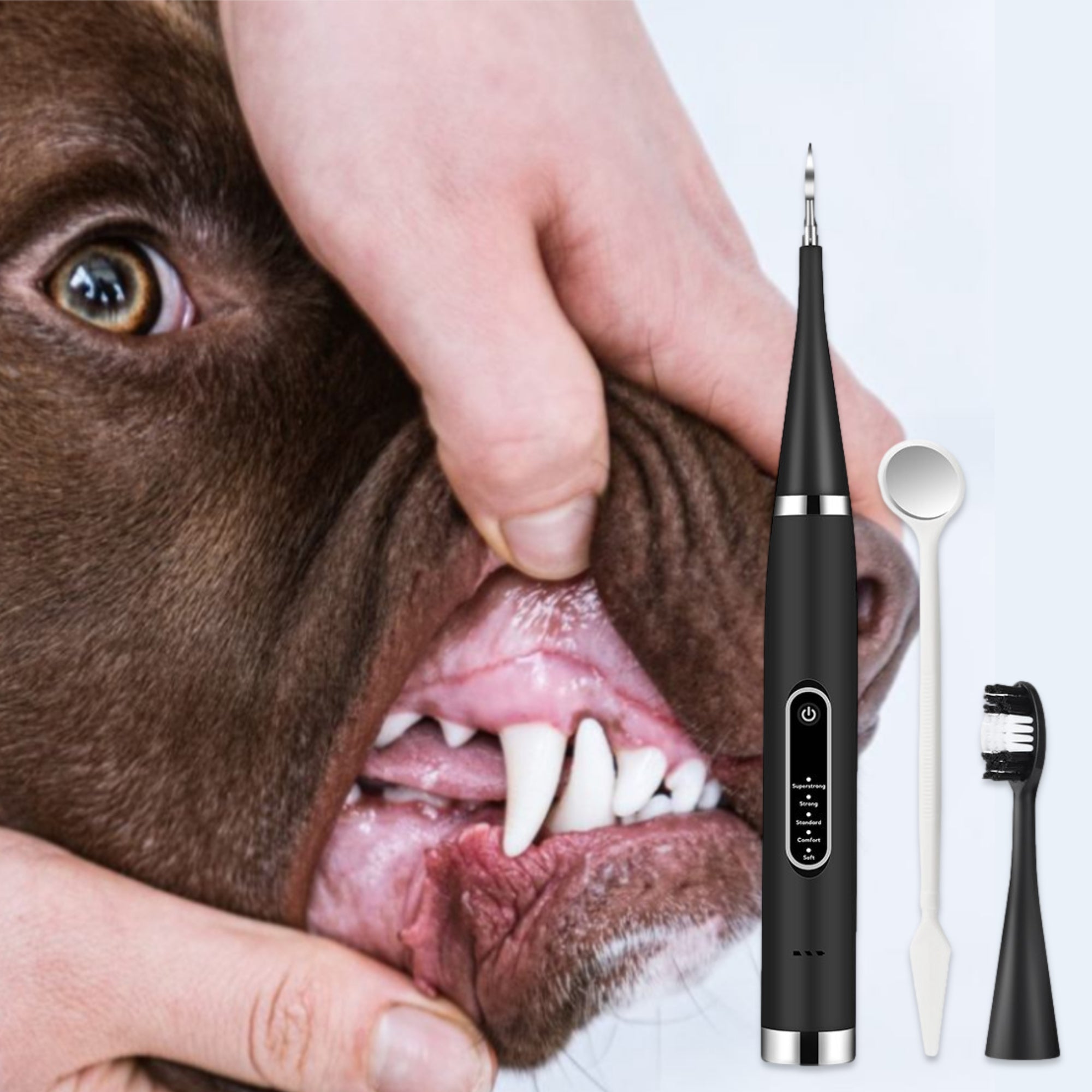 Canident - Tooth cleaner for dogs