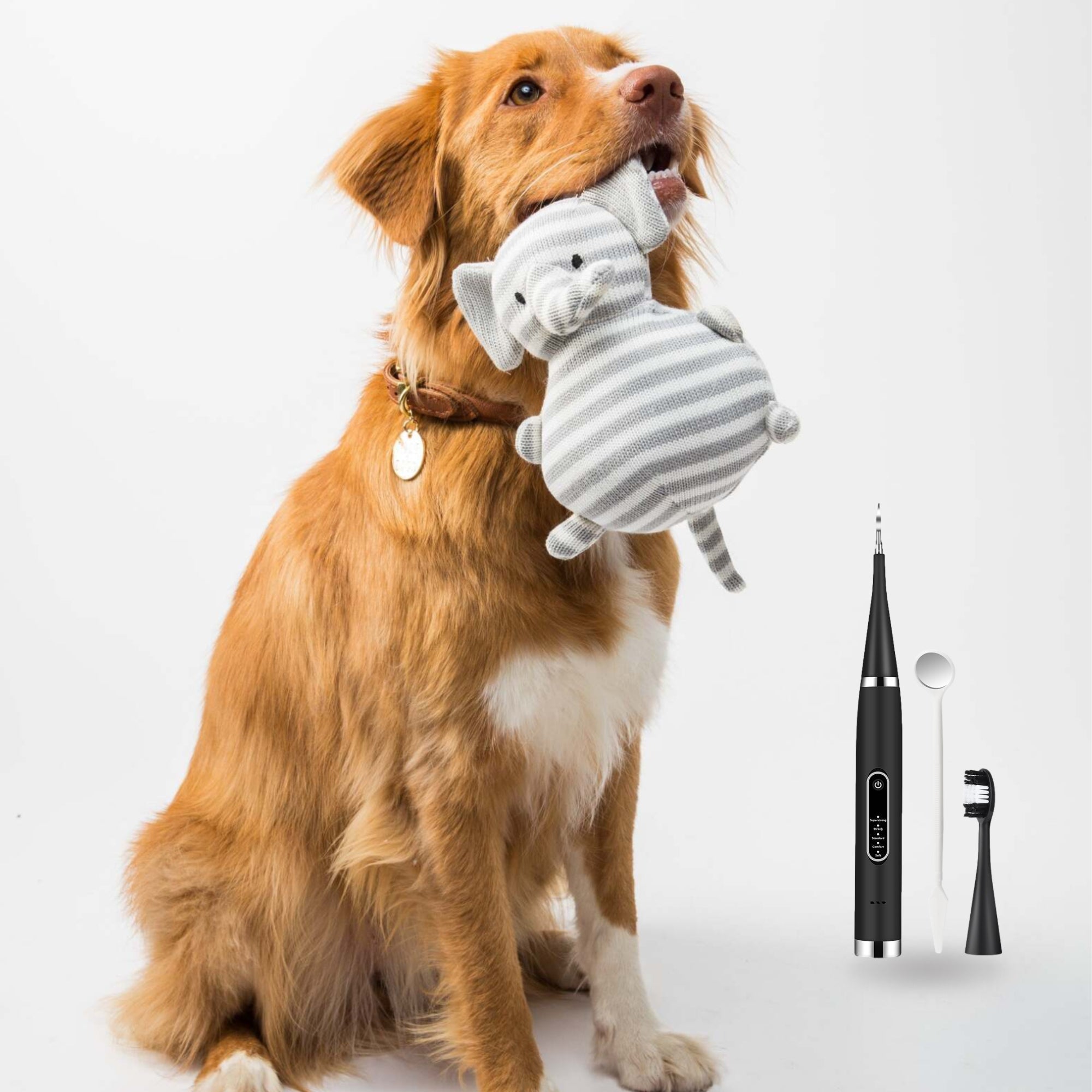 Canident - Tooth cleaner for dogs