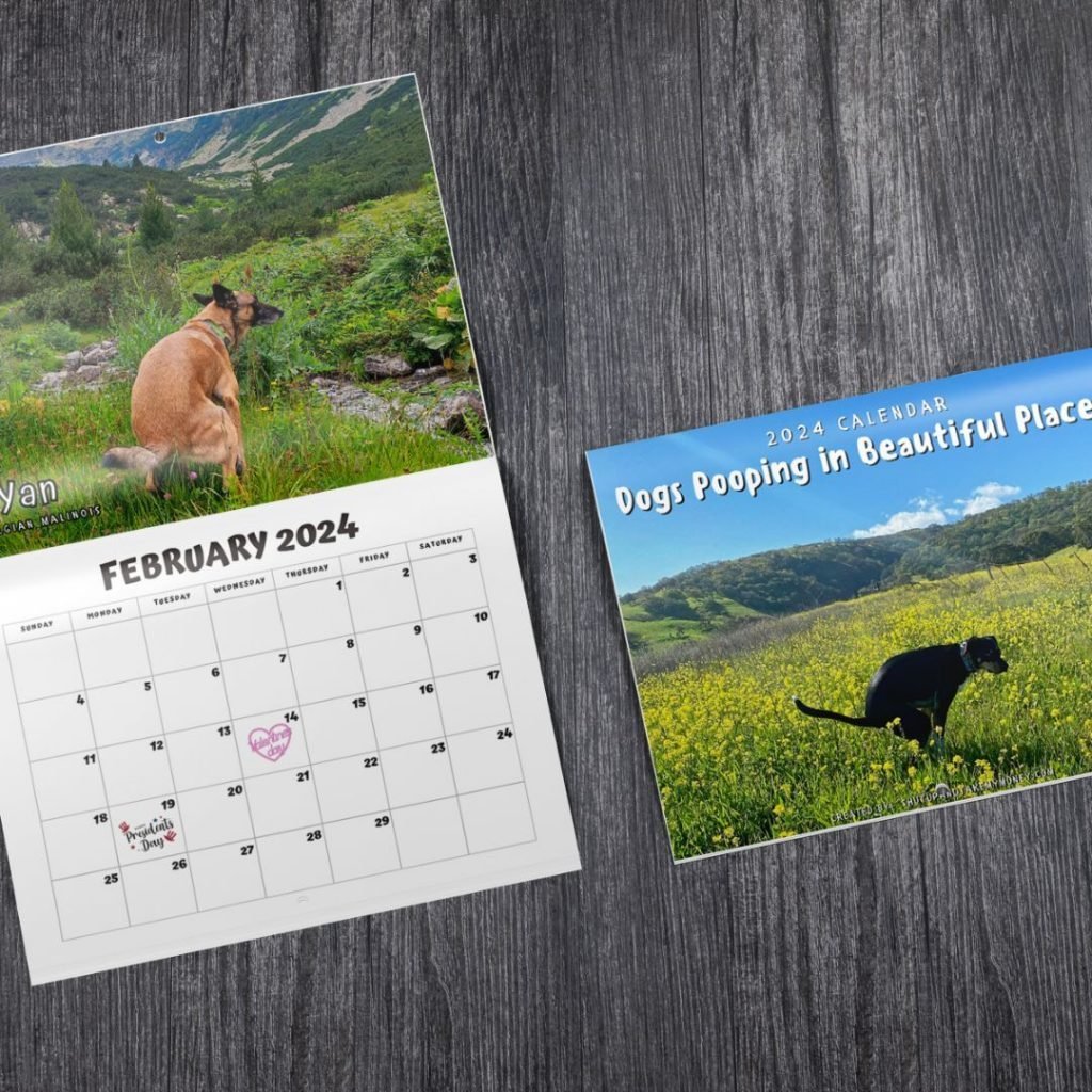 FUNNIEST CALENDAR OF THE CENTURY| "ARTISTIC EXPRESSION" OF FURRY FRIENDS