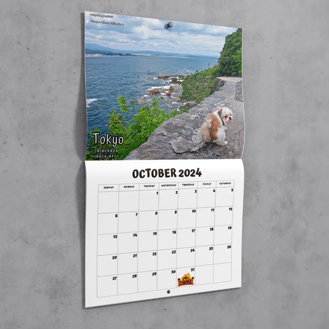 FUNNIEST CALENDAR OF THE CENTURY| "ARTISTIC EXPRESSION" OF FURRY FRIENDS