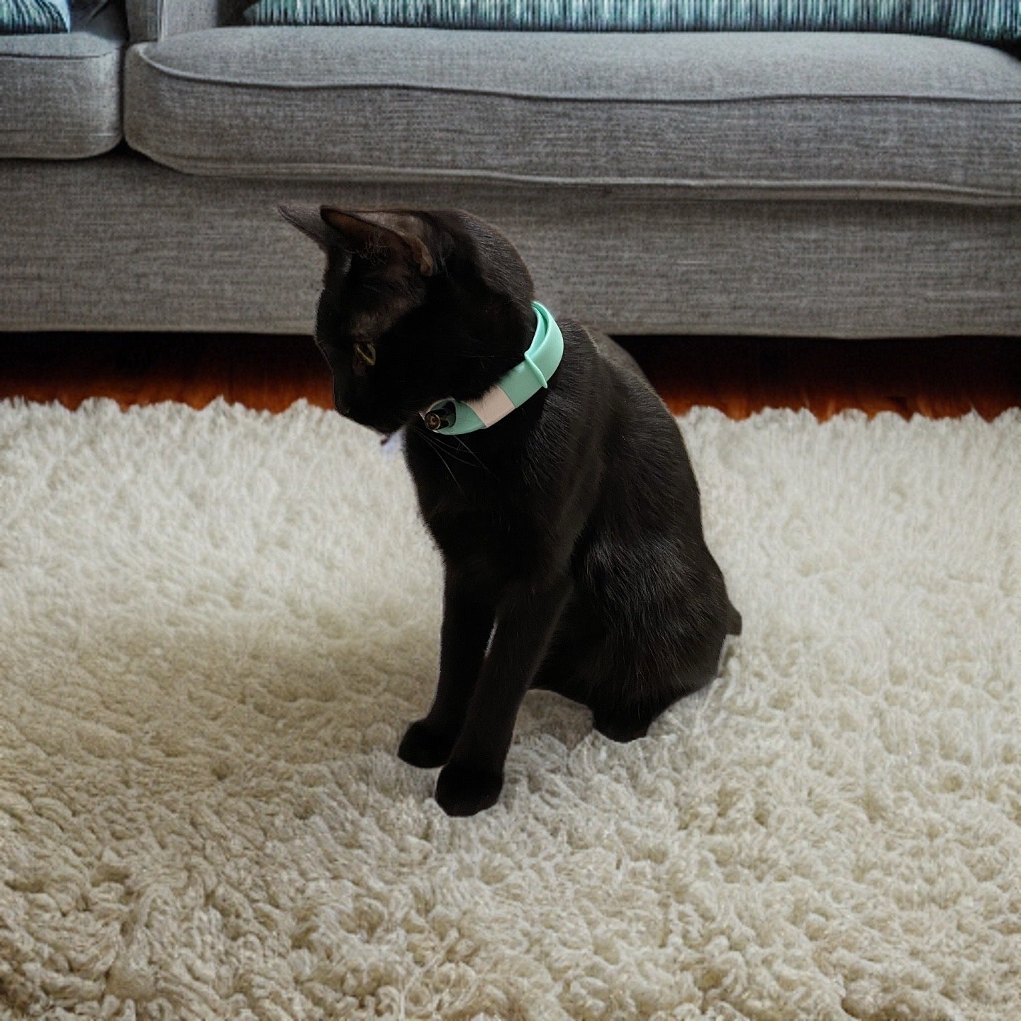 Hands-Free Cat Laser Collar