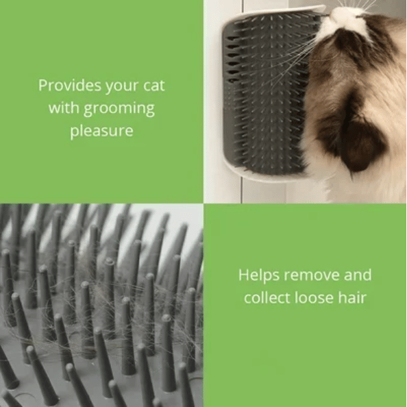 (Hot Sale Now) Cat Self Grooming Massage Toy Brush