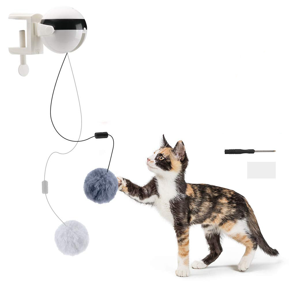 Interactive Cat Toy