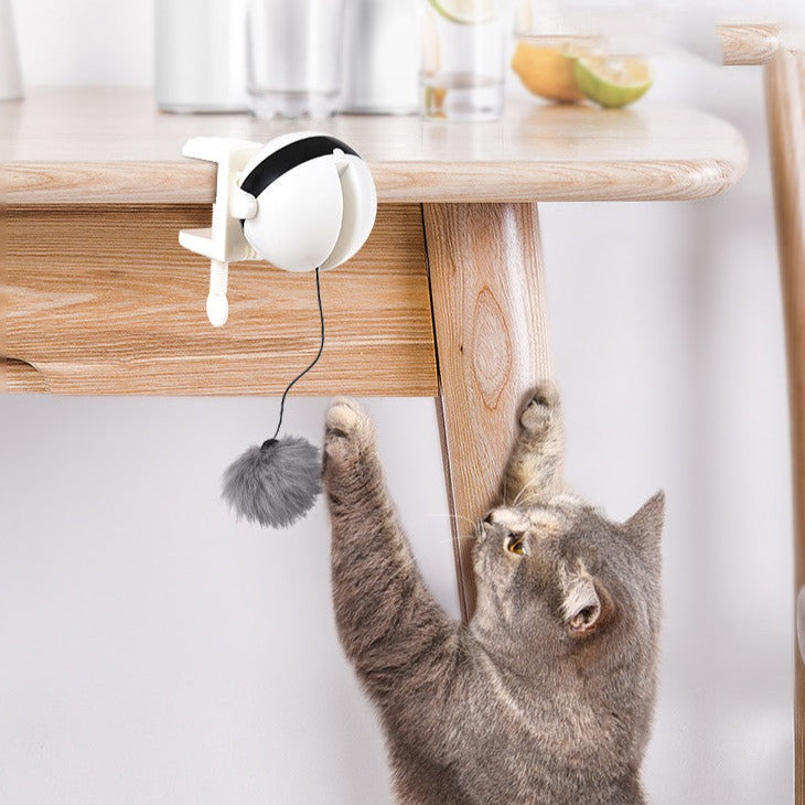 Interactive Cat Toy