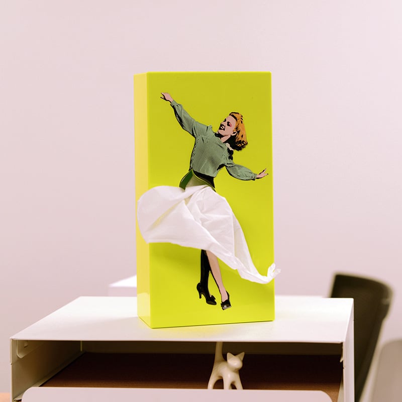 LAST DAY 49% OFF - Flying Skirt Tissue Box