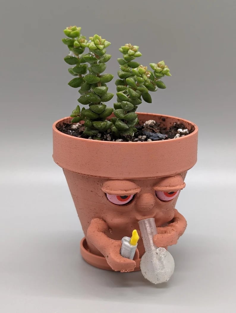 (Last Day Promotion - 50% OFF) Pot Smoking Pot planter for succulents or houseplants ripping a bong