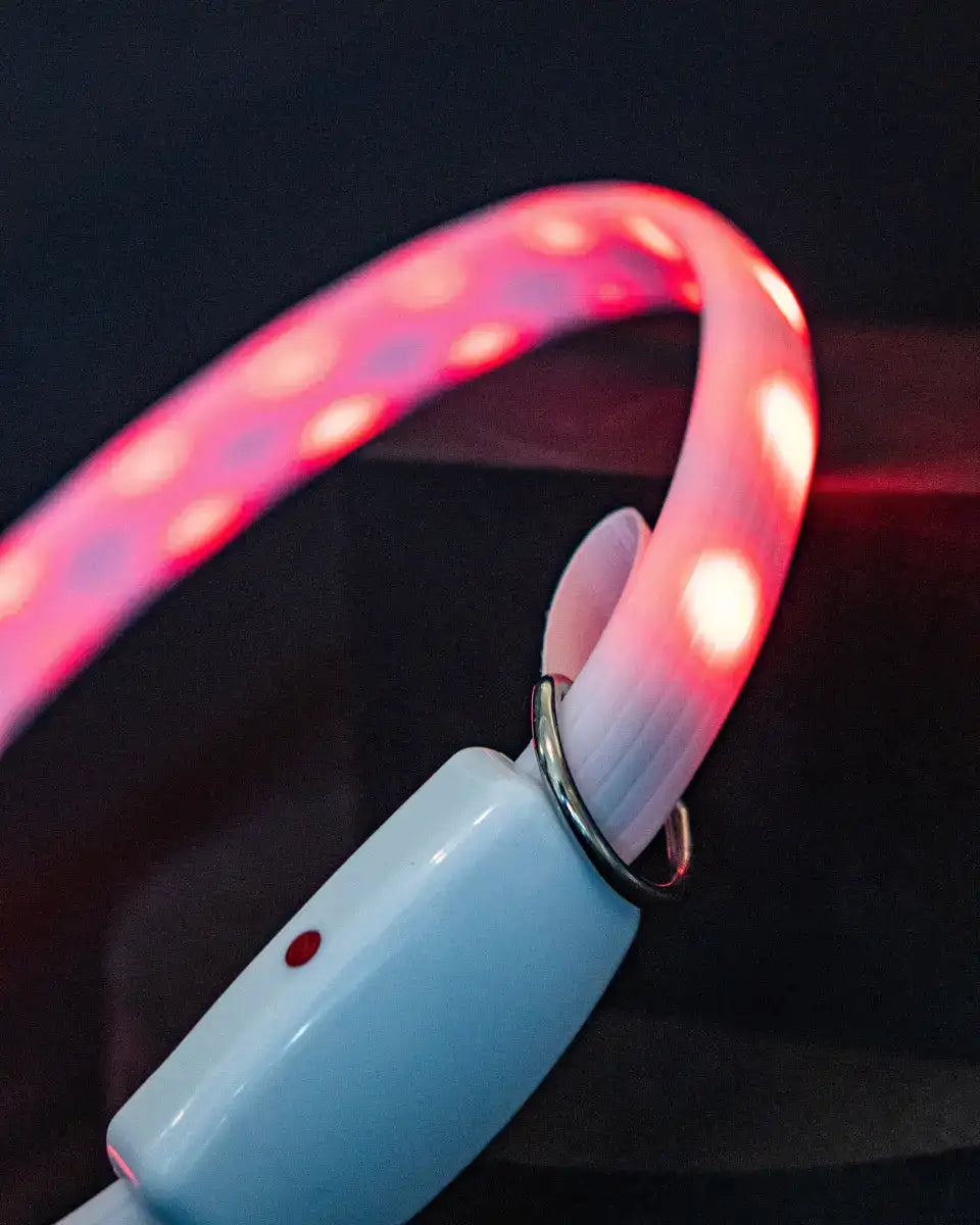 LED Night Ring