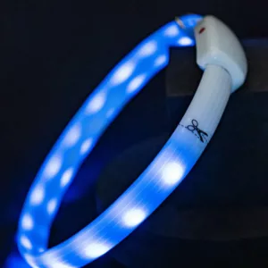 LED Night Ring