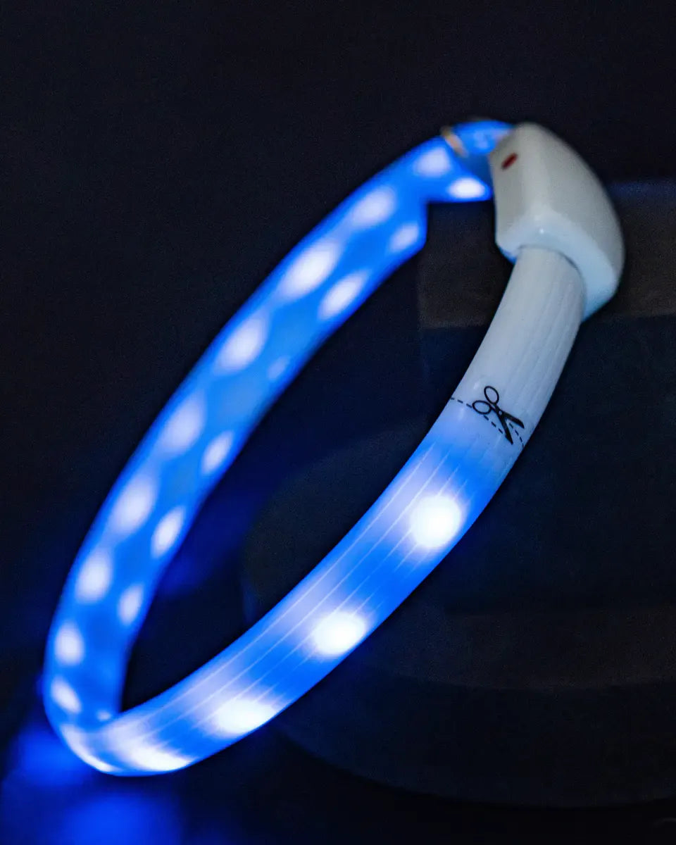 LED Night Ring