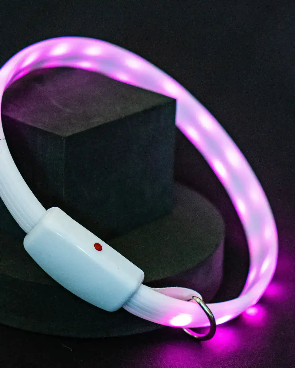 LED Night Ring