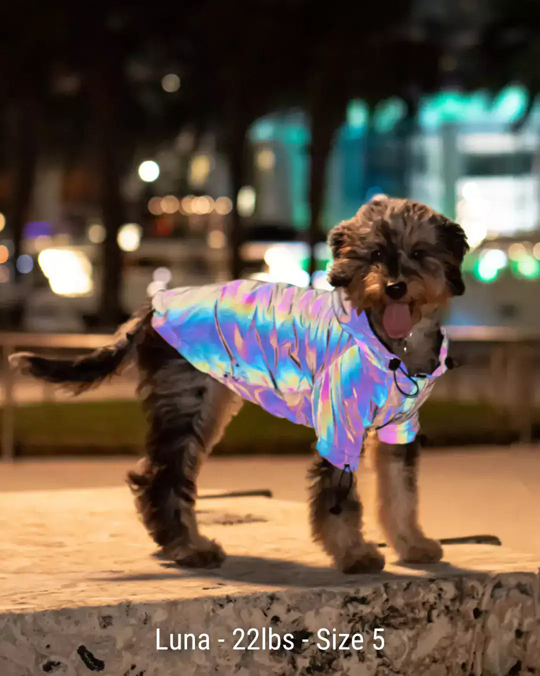 Lunar Pooch Hoodie