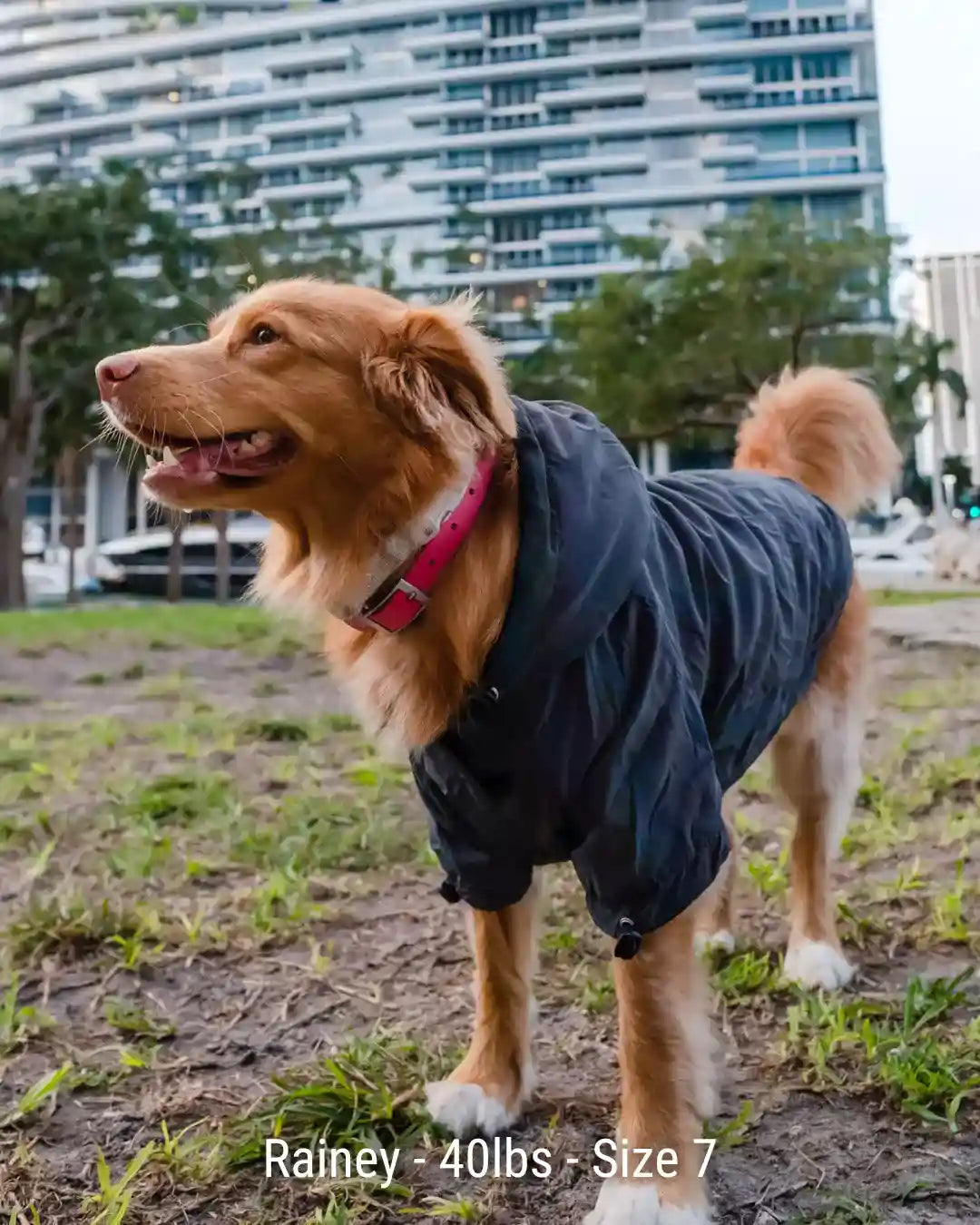 Lunar Pooch Hoodie