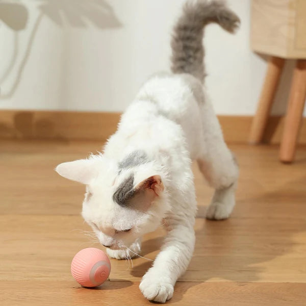 Lunexa - SmartCat Interactive Pet Toy