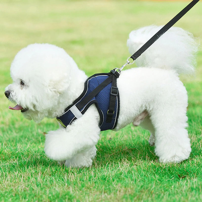 No Pull Reflective & Breathable Dog Harness + Leash