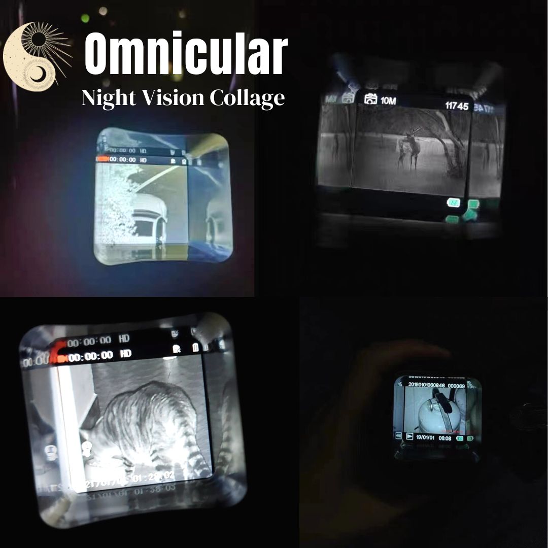 Omnicular Night Vision Recorder