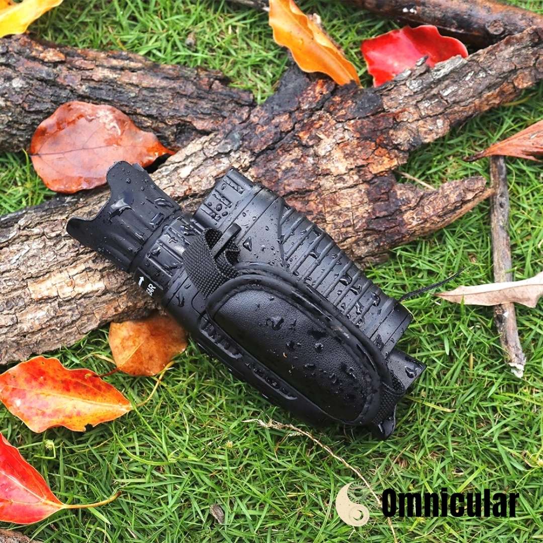 Omnicular Night Vision Recorder