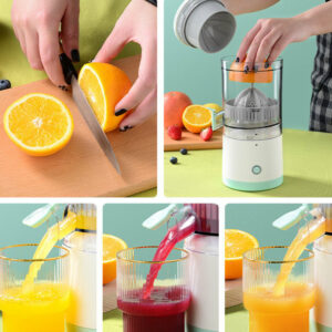 Portable Fruit Juicer