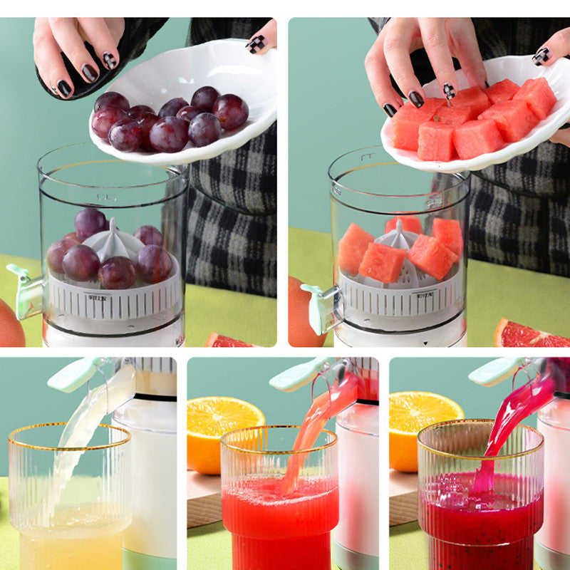 Portable Fruit Juicer