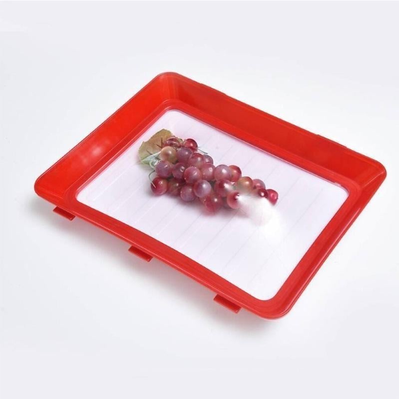 Environmentally friendly design - Reusable Food Preserving Tray