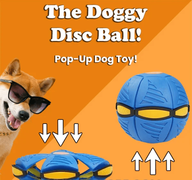 BUY MORE SAVE MORE - The Doggy Disc Ball