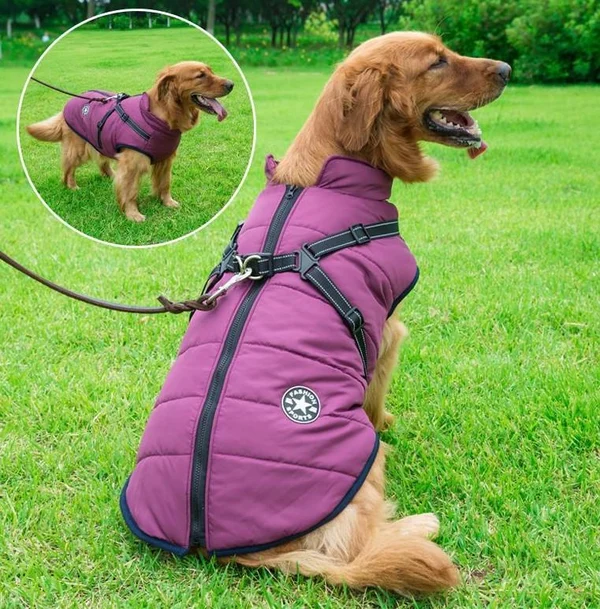 Christmas Sale 49% OFF - Waterproof Furry Jacket for Dogs of All Sizes