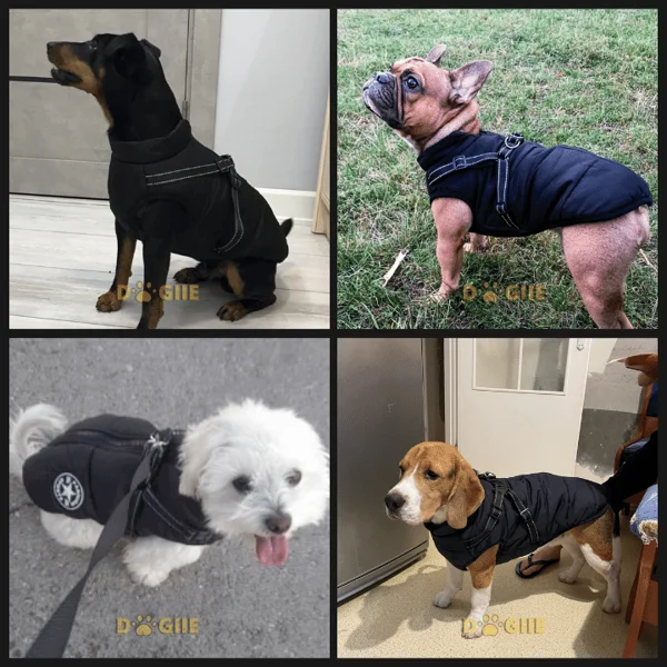 Christmas Sale 49% OFF - Waterproof Furry Jacket for Dogs of All Sizes