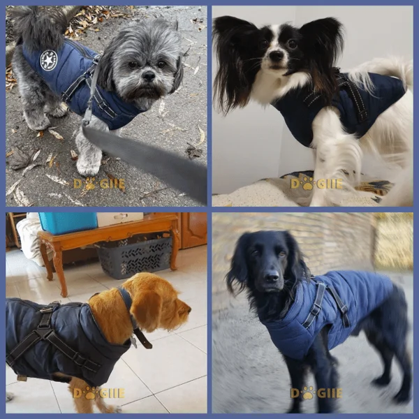 Christmas Sale 49% OFF - Waterproof Furry Jacket for Dogs of All Sizes