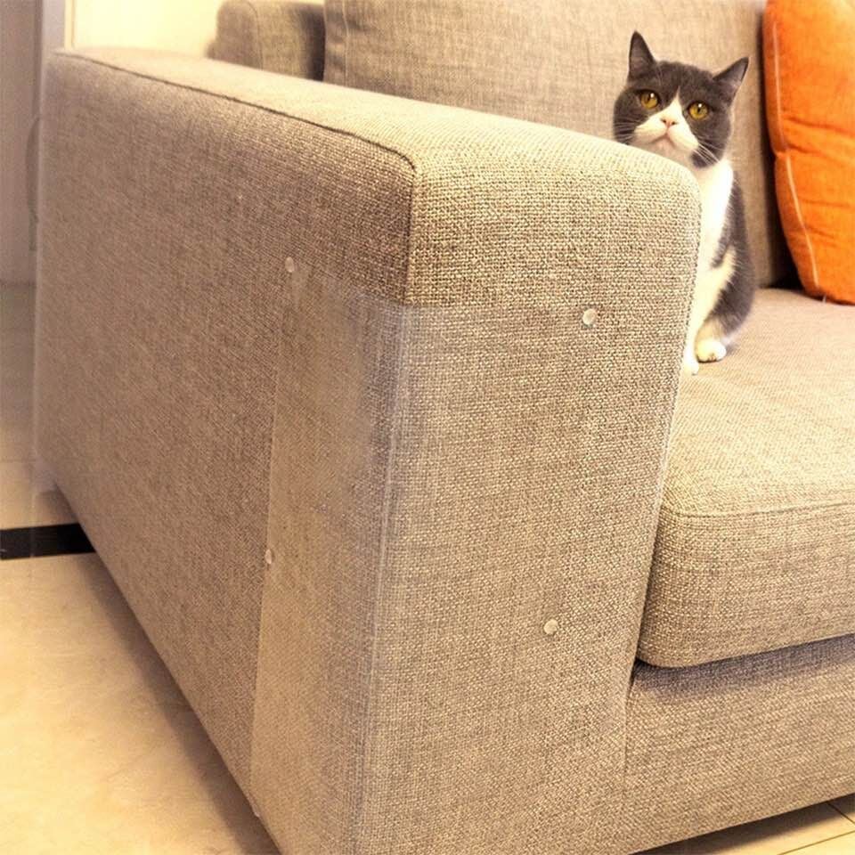 FelineShield – Protects Your Furniture From Cat Scratching
