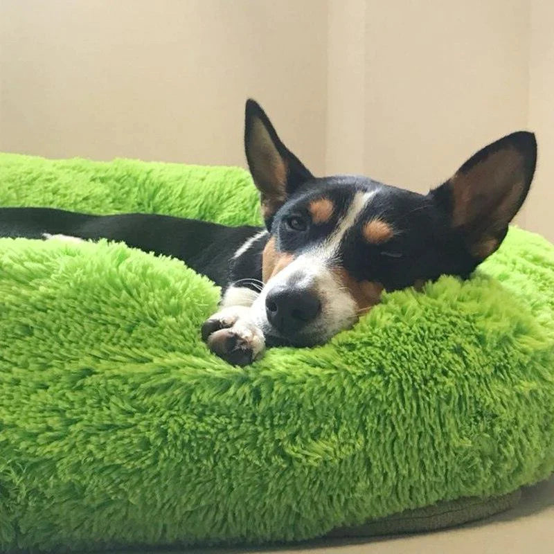 FluffyFriendShop - World's #1 Anxiety Relieving Pet Bed