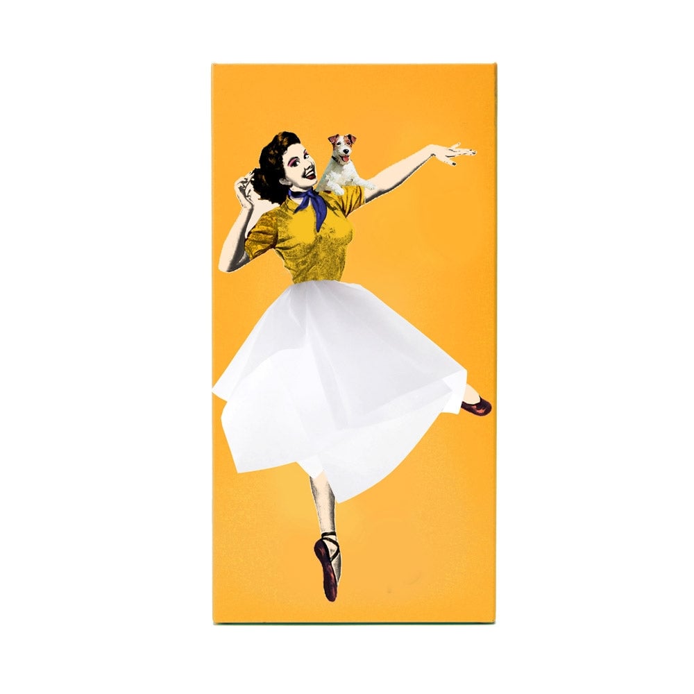 LAST DAY 49%OFF - Flying Skirt Tissue Box