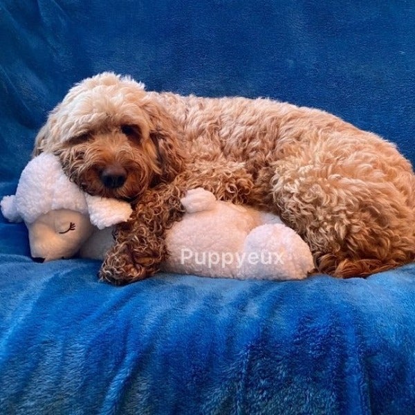 Puppyeux Heartbeat Buddy