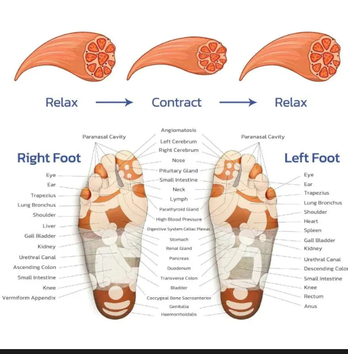 RFOOTREVIVE PRO - FOOT MASSAGE