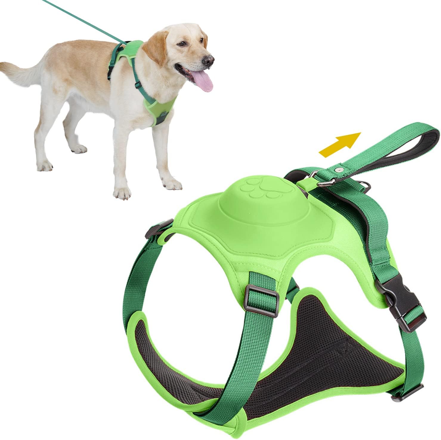 Smart Leash